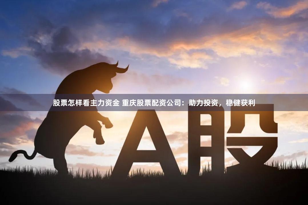 股票怎样看主力资金 重庆股票配资公司：助力投资，稳健获利